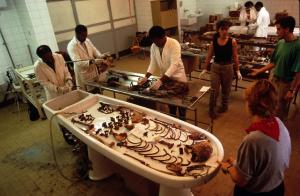 Forensic Anthropologists at work in the Morgue of the OCME.