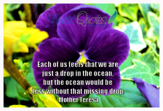 "A drop in the ocean......" - Mother Teresa