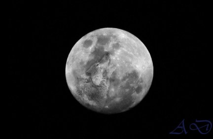 The Dark Side of the Moon