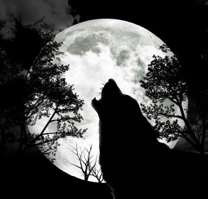 The image of a wolf howling at the moon
