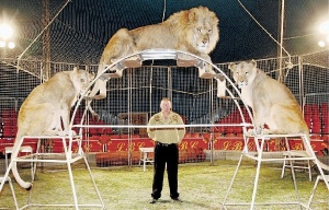 The Circus Lion Tamer perpetually fears an attack from the lions that he thinks he has 