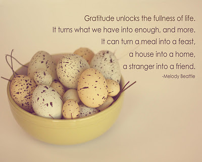 The way to a healthier and happier lifestyle is by imbibing gratitude into your daily life.