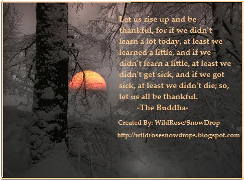 The Buddha says all that ever needed to be said.