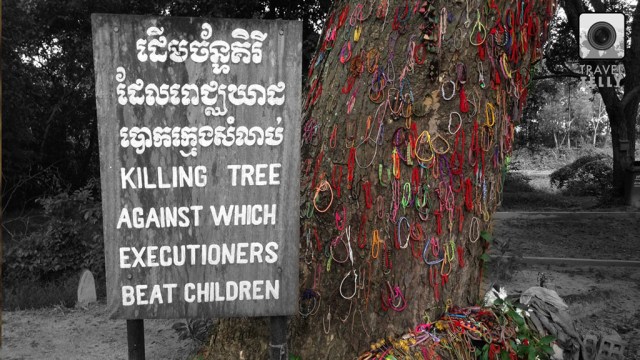 Killing Tree - when did we become so cruel and heartless?