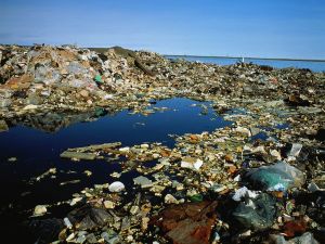 The polluted ocean and ravaged seas.