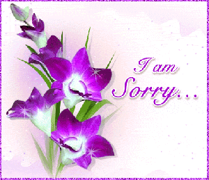 "I am sorry" - learn to say it!
