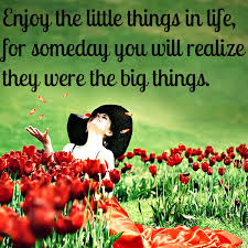 Value the little things in life: they are vital!