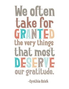 We often take for granted the people for whom and the things for which we ought to be the most thankful. Don't do that - it's a waste of a good life!