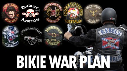 Street gangs, motorcycle gangs and prison gangs are powerful and often violent peer pressure groups.