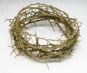 The torture of Being Burdened by a Crown of Thorns (Photo Credit: http://www.faithcrc.net/?m=20120304)