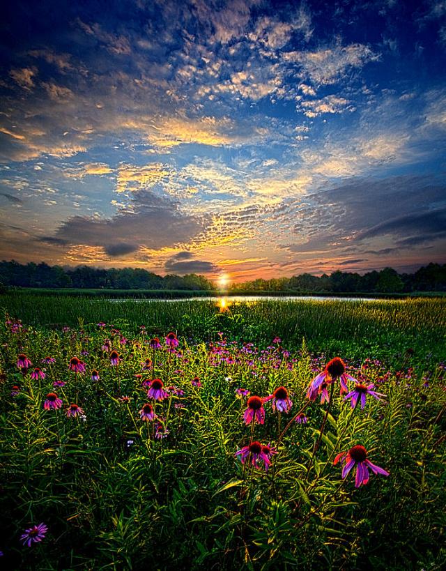 End of the Night - Phil Koch. (Photo Credit: http://fineartamerica.com/featured/end-of-the-night-phil-koch.html)
