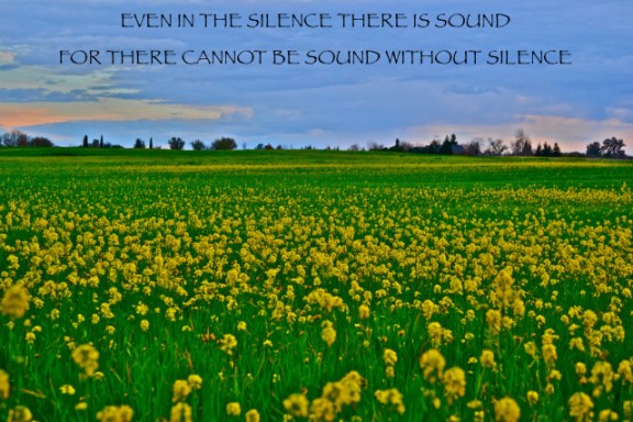 There is Sound - of a certain kind - even in Silence.