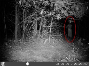 A Ghostly Apparition