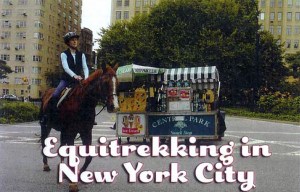 Equitrekking in New York City.