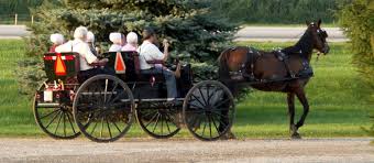 Amish Women in a Buggy