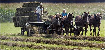 The Amish - a farming community